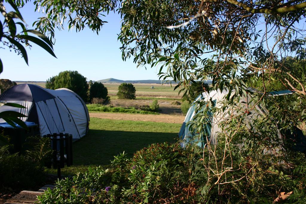 Millicent Hillview Caravan Park المظهر الخارجي الصورة