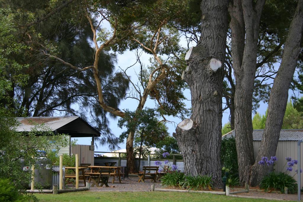 Millicent Hillview Caravan Park المظهر الخارجي الصورة