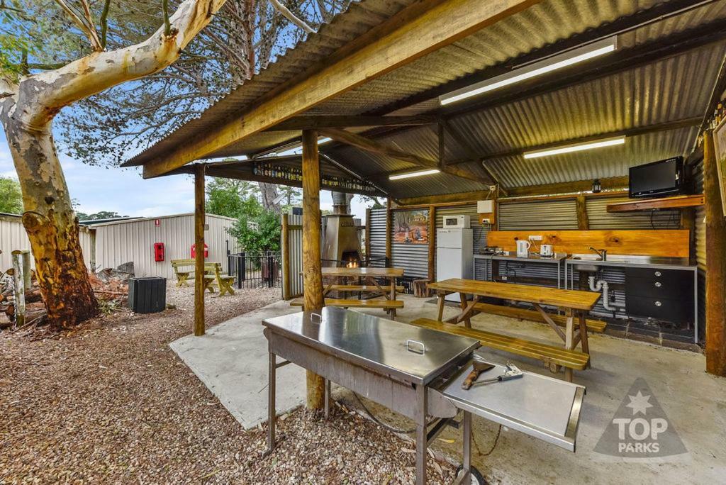 Millicent Hillview Caravan Park المظهر الخارجي الصورة