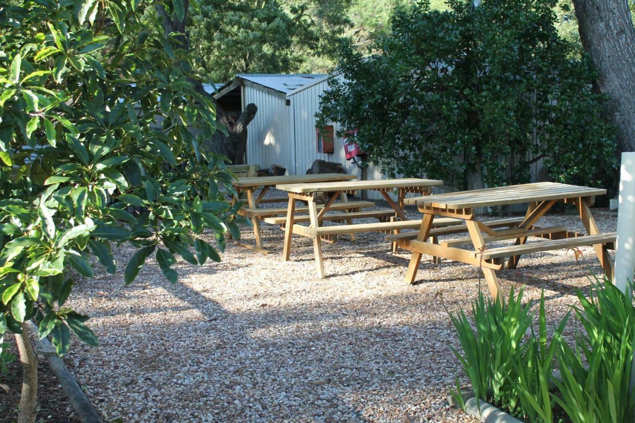 Millicent Hillview Caravan Park المظهر الخارجي الصورة